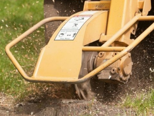 This is a photo of tree stump grinding being carried out by Tree Surgeons Rugby